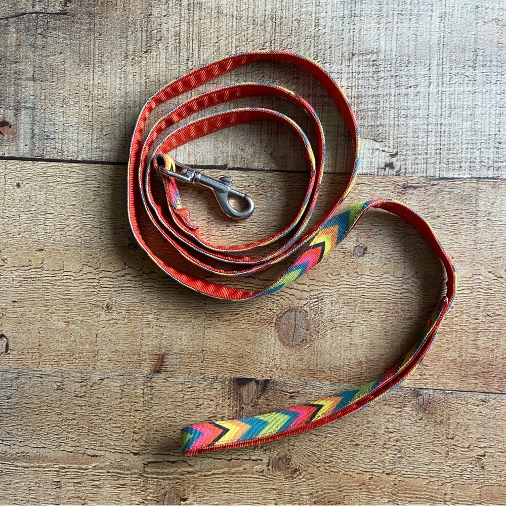 Jonathan Adler Chevron Dog Leash
